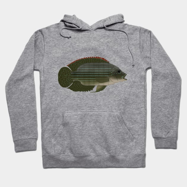 Jack Dempsey Hoodie by FishFolkArt